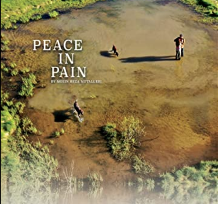 Peace In Pain trailer